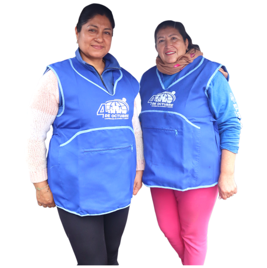 Requisitos de ¡IMPULSA TU NEGOCIO!